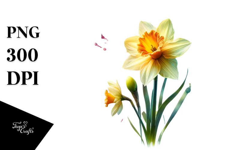 Daffodil Clipart Image 19