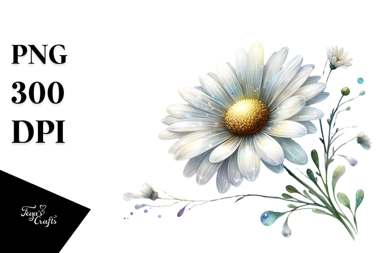 Daisy Png Image 8
