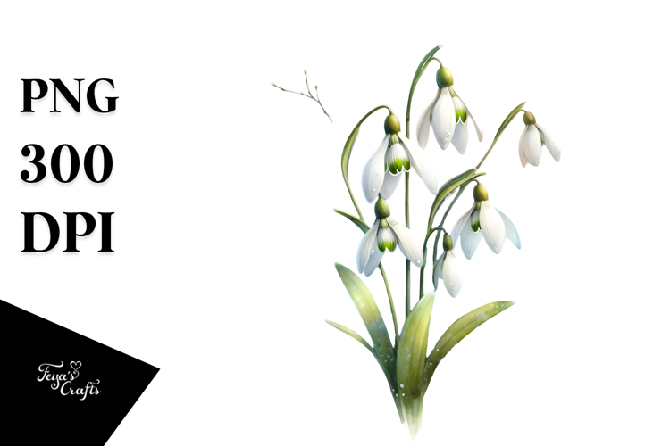 Snowdrop with Metallic Accents PNG
