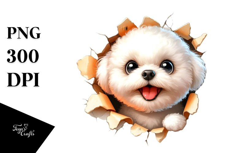 Crazy Looking Bichon Frise