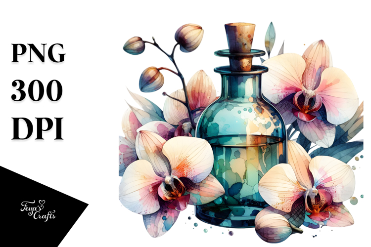 Orchid Clipart Image 12
