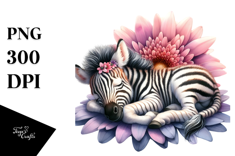 Zebra Clipart Image 10