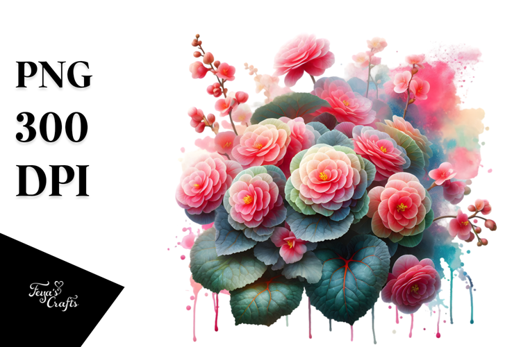 Begonia with Watercolor Splash
