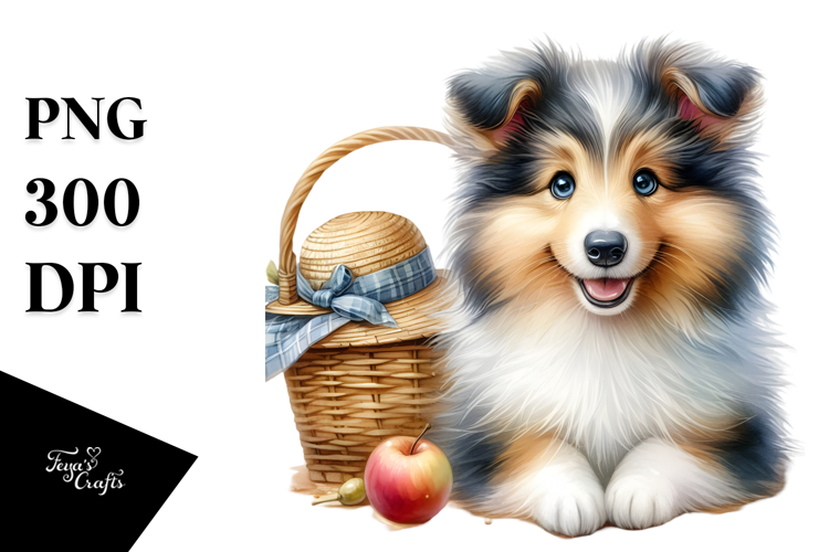 Happy Baby Collie PNG