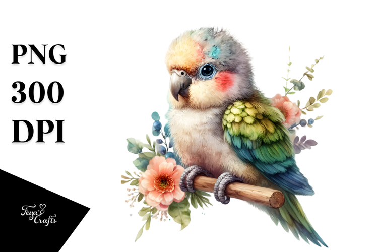 Parrot Clipart Image 4
