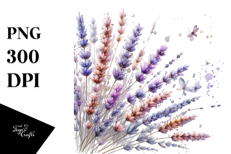 Lavender Png Image 10