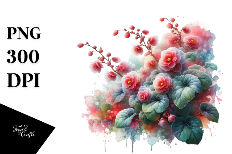 Begonia Watercolor Splash PNG