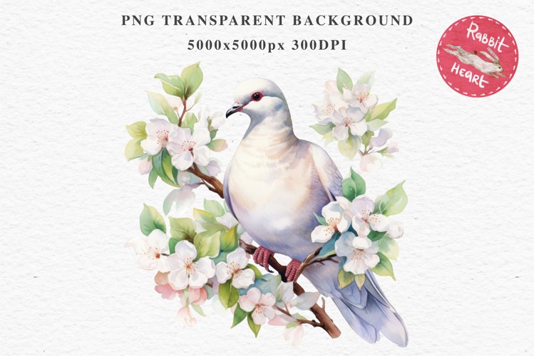 White Dove Birds Clipart Valentine Day Love Pigeon Flowers Scrapbooking Image Watercolor Transparent Print invitation t-shirt designs sublimation printable  watercolor cute White Dove Birds bird clipart, sublimation drawing Valentine Day Love Pigeon Flowe