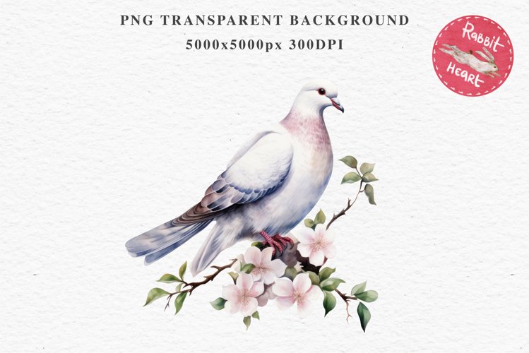 White Dove Birds Clipart Valentine Day Love Pigeon Flowers Scrapbooking Image Watercolor Transparent Print invitation t-shirt designs sublimation printable  watercolor cute White Dove Birds bird clipart, sublimation drawing Valentine Day Love Pigeon Flowe