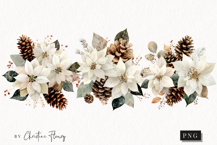 Watercolor White Poinsettia Clipart | Christmas PNG