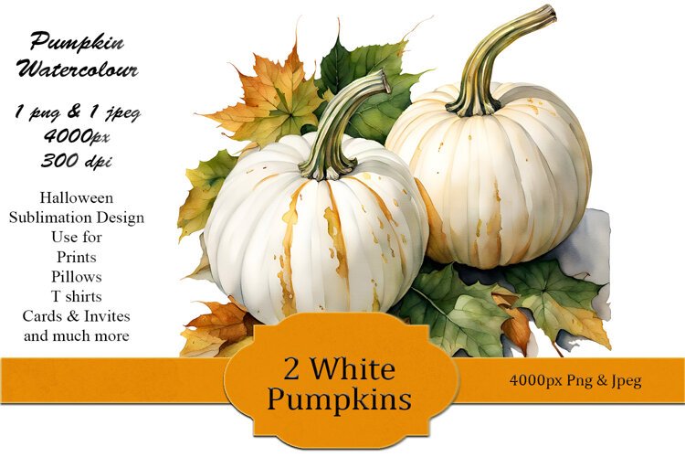 White Pumpkins Autumn Watercolour example image 1