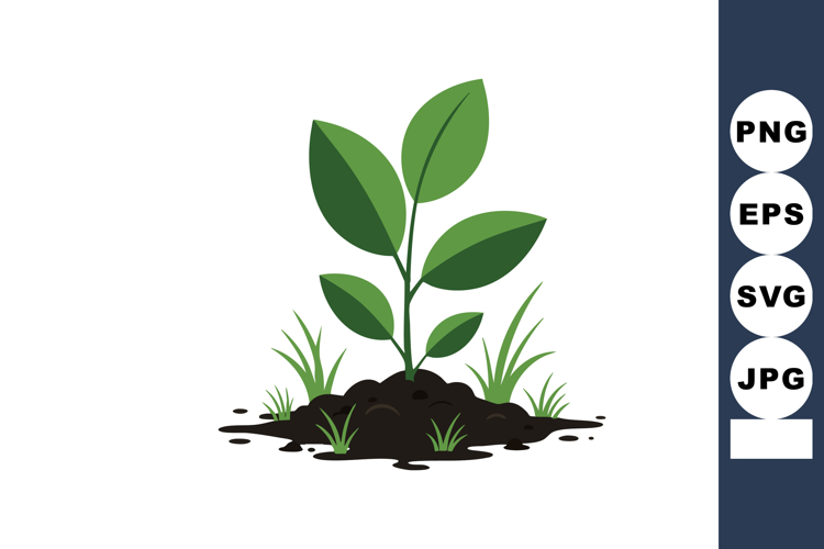 Young green plant with fresh leaves growing from soil illust