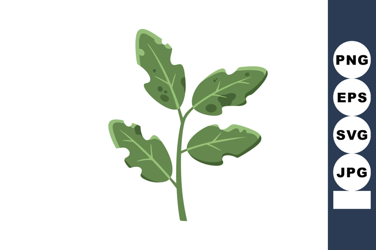 Green leaves branch vector illustration with natural colors