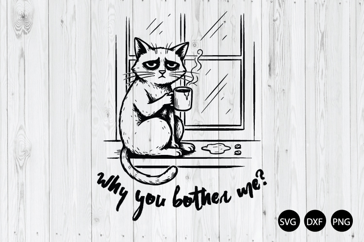 Why You Bother Me SVG, Funny Quote SVG, Funny Cat SVG
