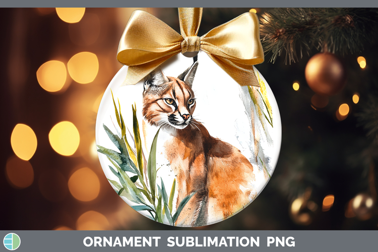 Bauble Clipart Image 23