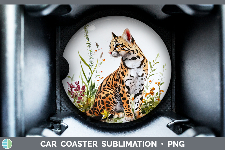 Car Coaster Sublimation Designs Image 14