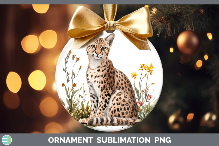 Bauble Clipart Image 10