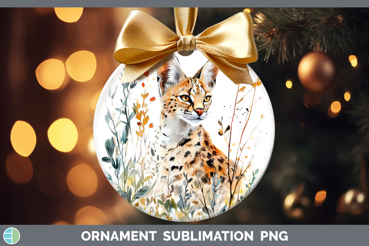 Bauble Clipart Image 8