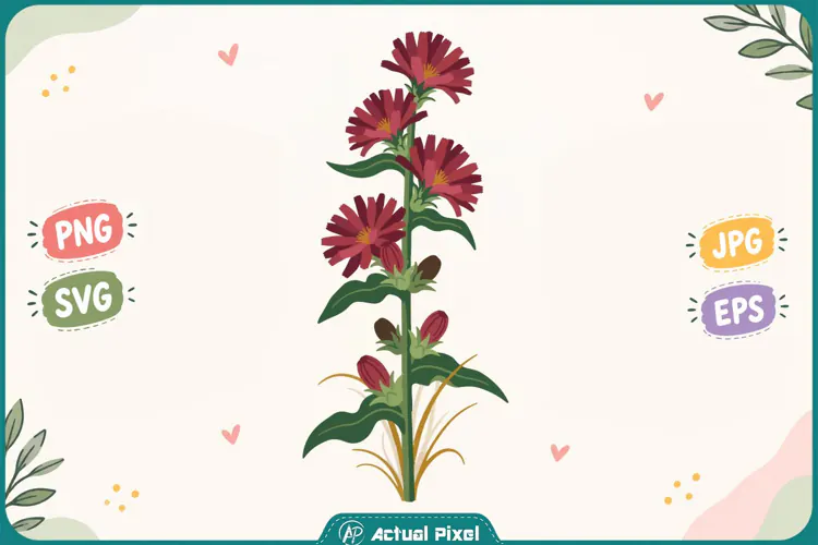 Wildflower Botanical Clipart