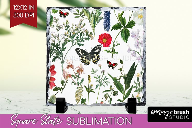 Spring Clipart Image 17