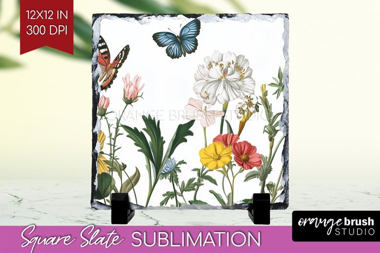 Spring Clipart