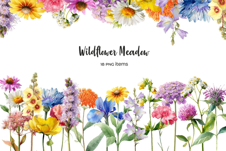 Wildflower Png Image 2
