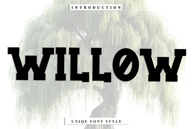 Willow