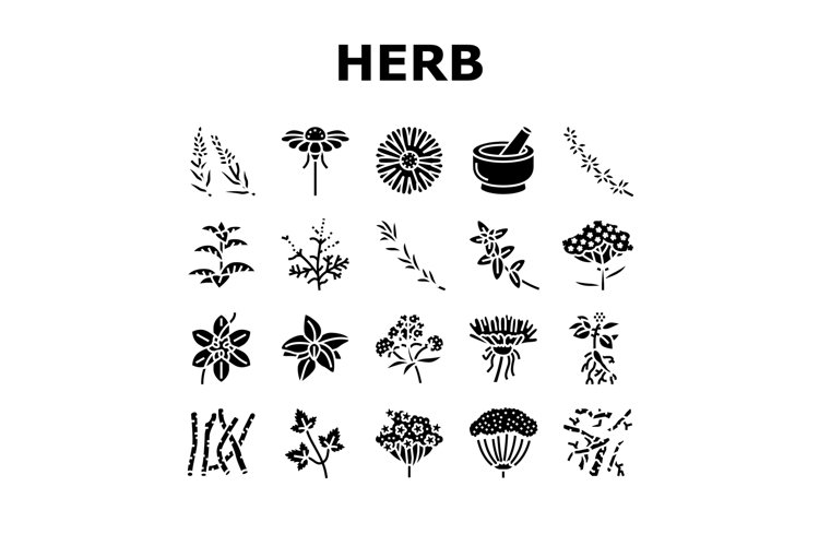 Medical Herb Natural Ingredient Icons Set Vector