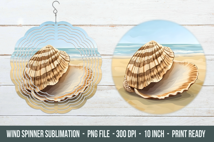 Seashell PNG Image 14