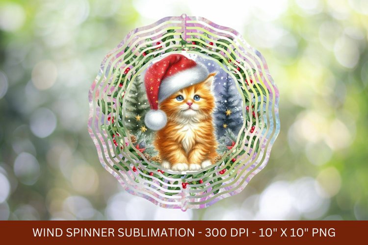 Kitten Png Image 3