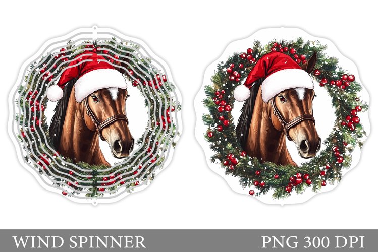 Cute Horse Pictures Image 21