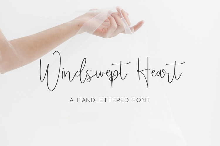 Modern Calligraphy Font