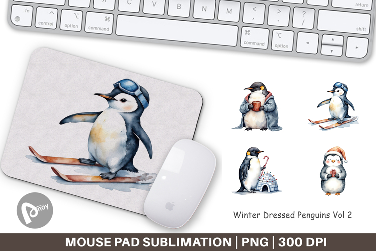 Penguins Png Image 24