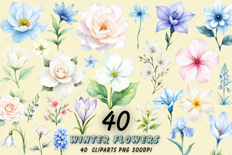 Winter Flowers Watercolor Clipart Bundle | Icy White & Blue