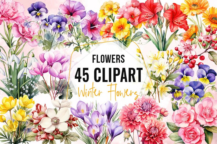 Winter Flowers Watercolor Clipart (4844068)