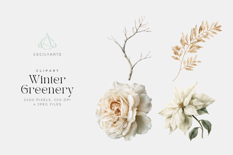 Winter Greenery Watercolor Clipart example image 1