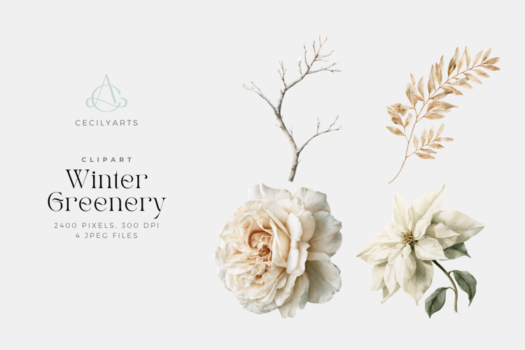 Winter Greenery Watercolor Clipart