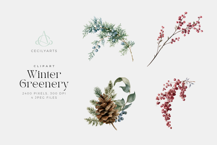 Winter Greenery Watercolor Clipart