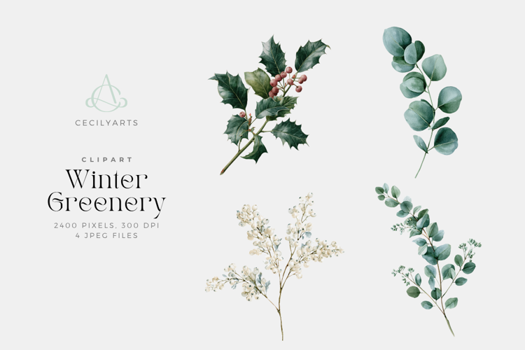 Winter Greenery Watercolor Clipart