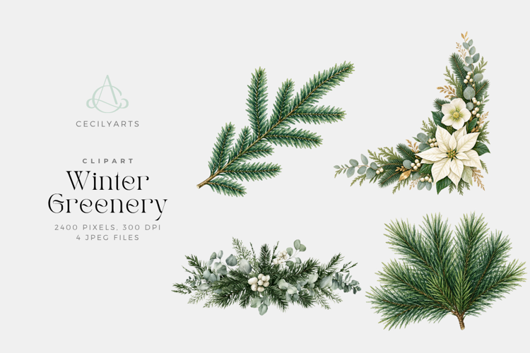 Winter Greenery Watercolor Clipart