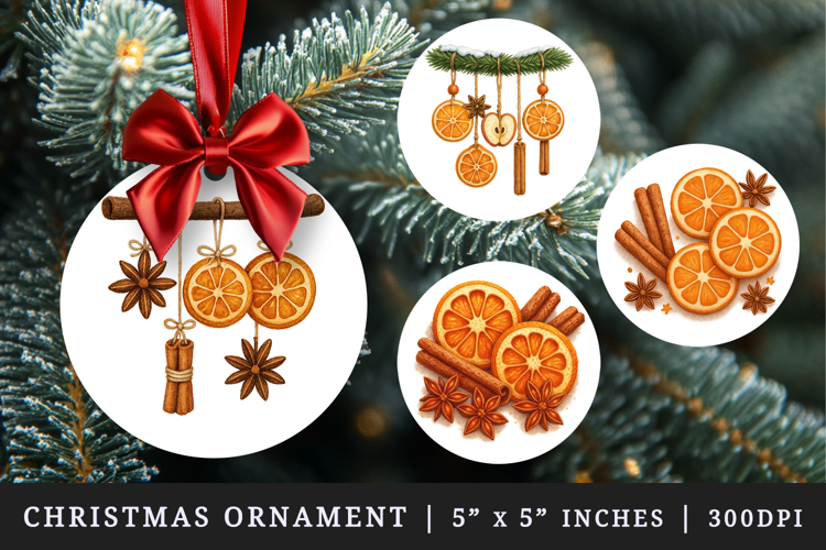 Winter round ornaments sublimation design