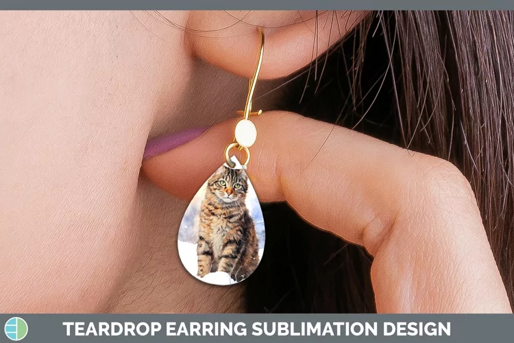 Winter Snow Tabby Cat Teardrop Earrings Sublimation Earrings
