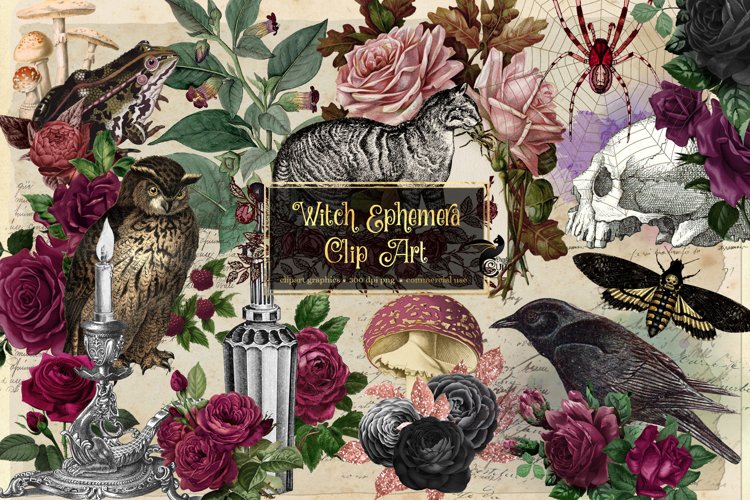 Witch Clipart Image 23
