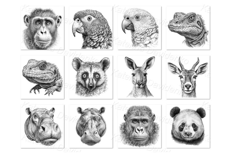 Graphic exotic wild animals portraits for t-shirt design example image 1