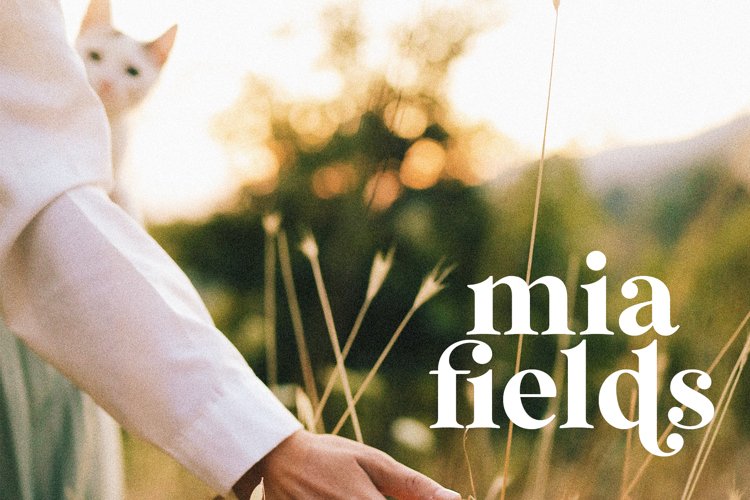 Wild Mango - A Modern Serif Font