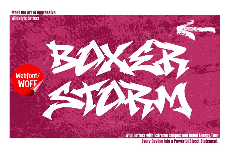 Boxer Storm - Wild Graffiti Webfont for Bold Urban Websites example image 1