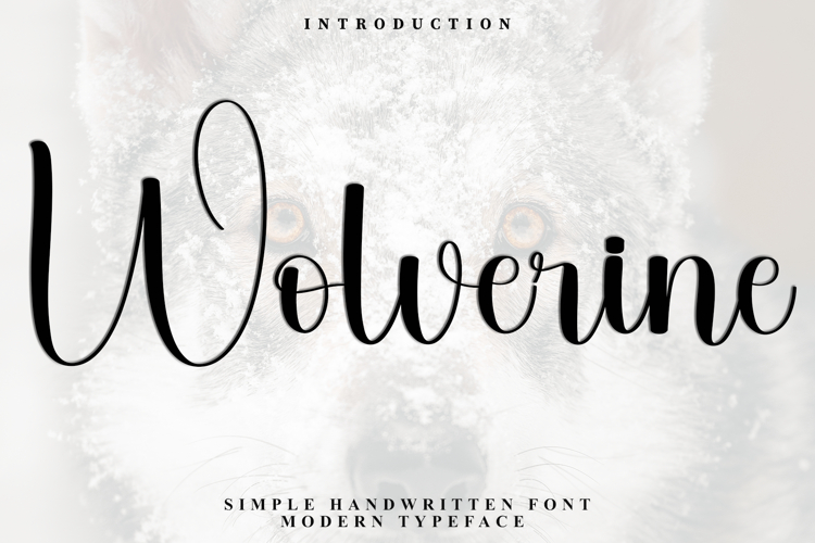 Wolverine example image 1