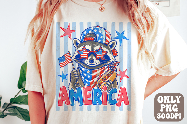 Raccoon Png