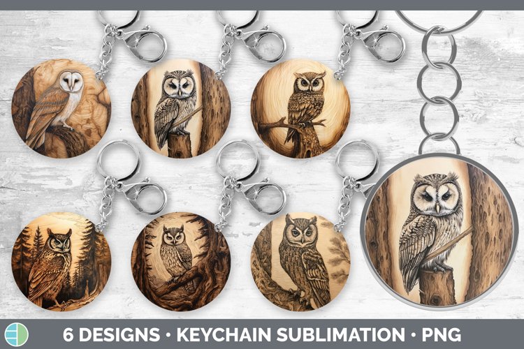 Owl Clipart Image 21