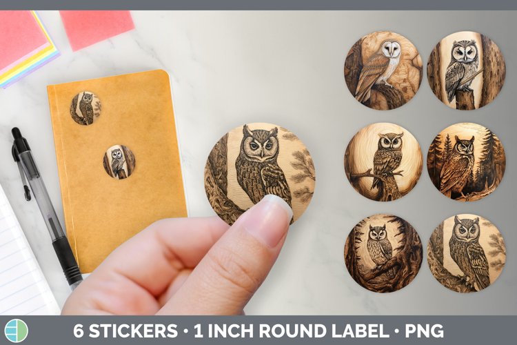Owl Clipart Image 12